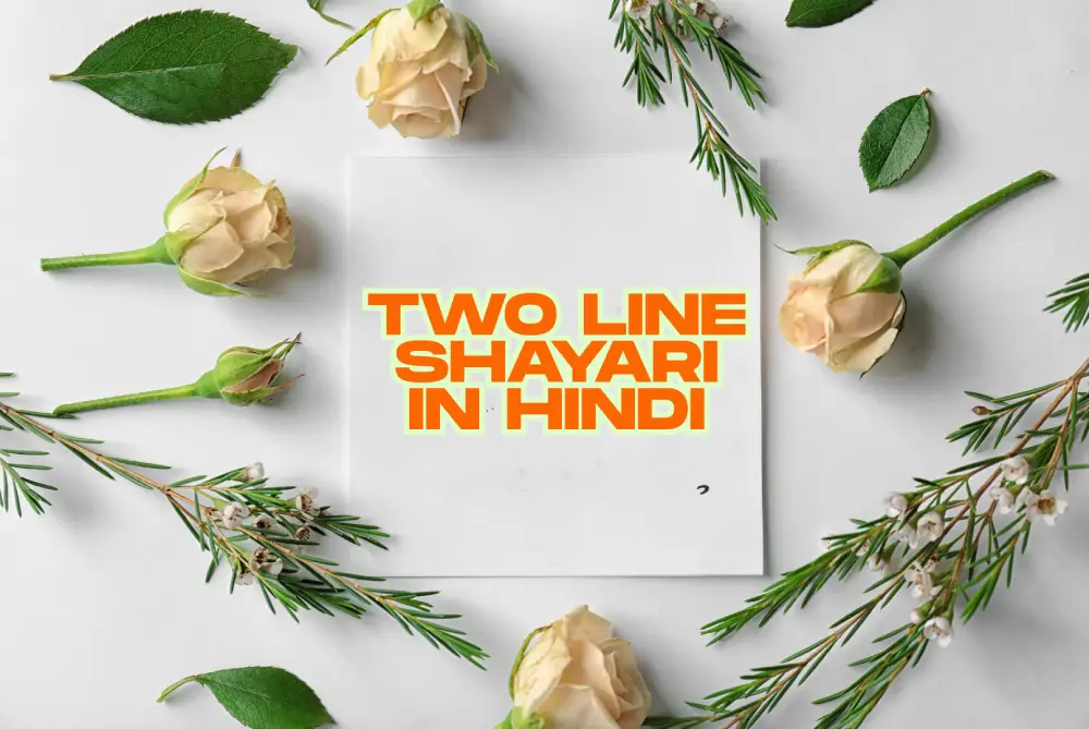 Two Line Shayari in Hindi