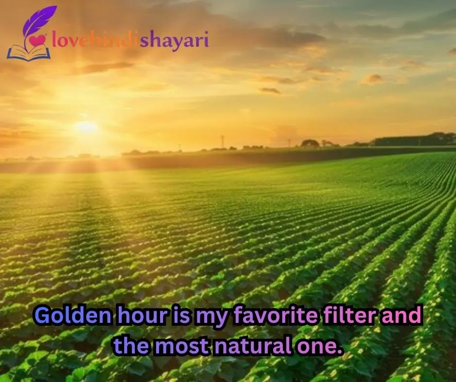 Sunset Shayari in English 